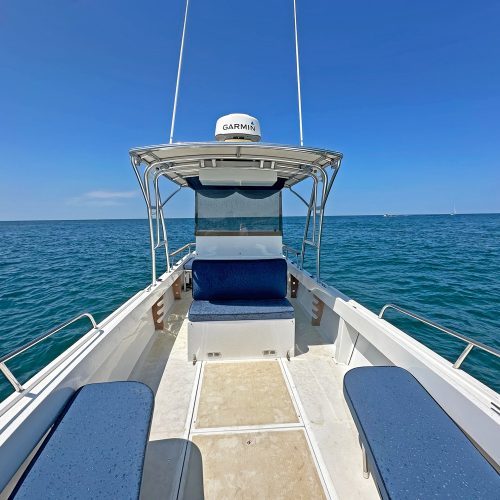Aft Facing Bow